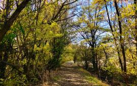 Riverwalk Park