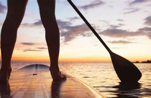 Paddleboard Rental