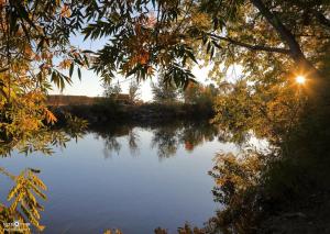 Fall Boise River