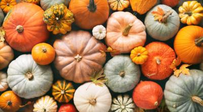 pumpkin patch