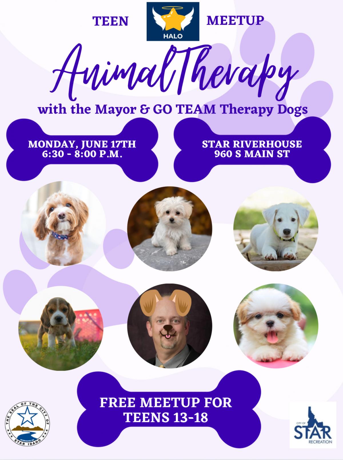 Flyer with dogs 