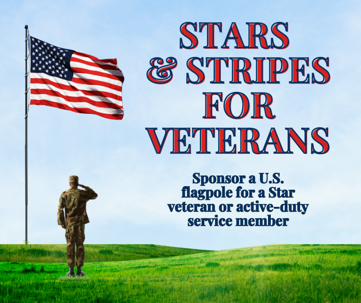 flagpole flying us flag with soldier saluting it