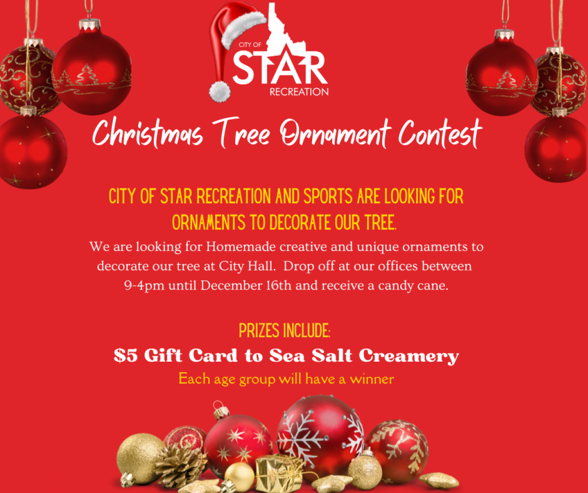 Ornament Contest